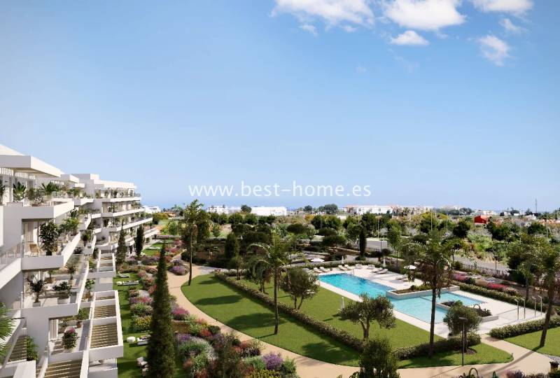 Apartament - Pierwotny - Denia - Denia