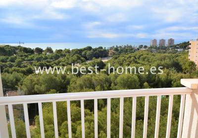 Apartament - Wtórny - Dehesa de Campoamor - BH211305
