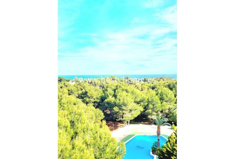 Apartament - Wtórny - Dehesa de Campoamor - Dehesa de Campoamor