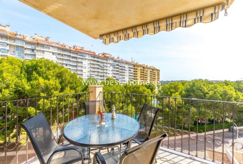 Apartament - Wtórny - Dehesa de Campoamor - Dehesa de Campoamor