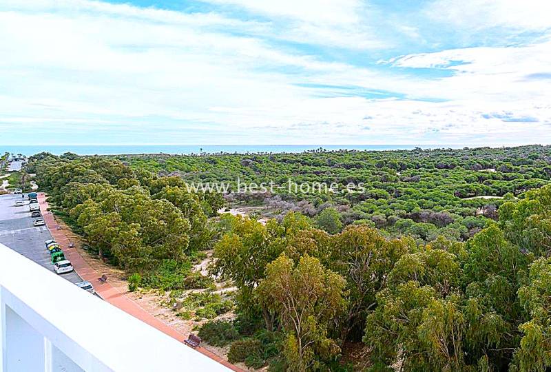 Apartament - Wtórny - Guardamar del Segura - Guardamar del Segura