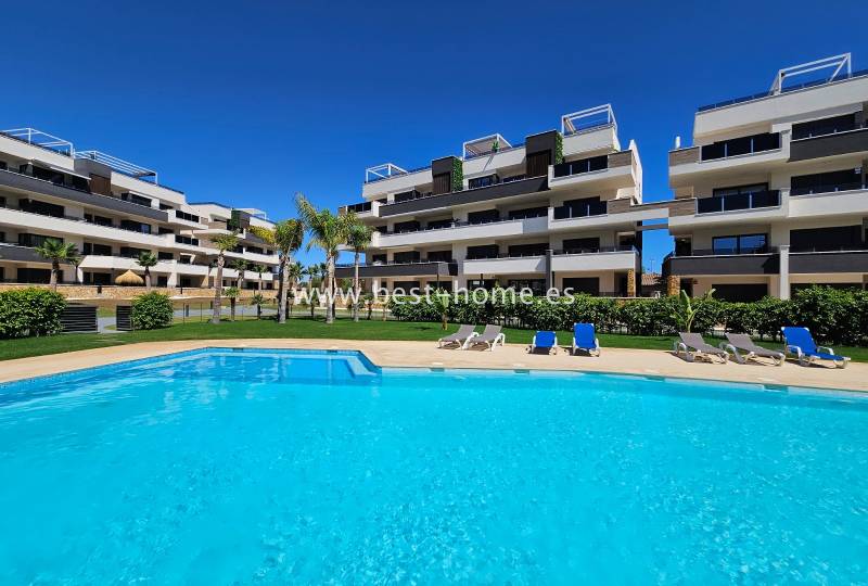 Apartament - Wtórny - Playa Flamenca - Playa Flamenca