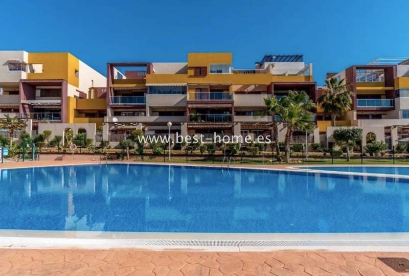 Apartament - Wtórny - Playa Flamenca - Playa Flamenca
