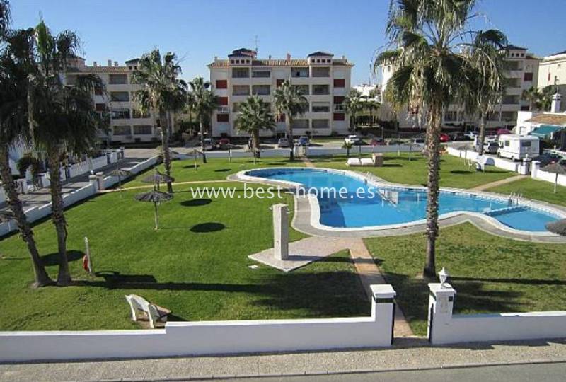 Apartament - Wtórny - Playa Flamenca - Playa Flamenca