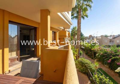Apartament - Wtórny - Punta Prima - BH174114