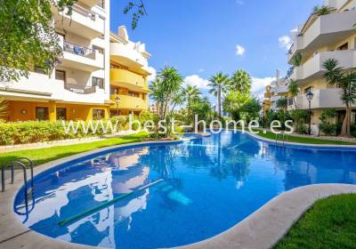 Apartament - Wtórny - Punta Prima - BH822184