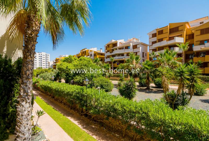 Apartament - Wtórny - Punta Prima - Punta Prima