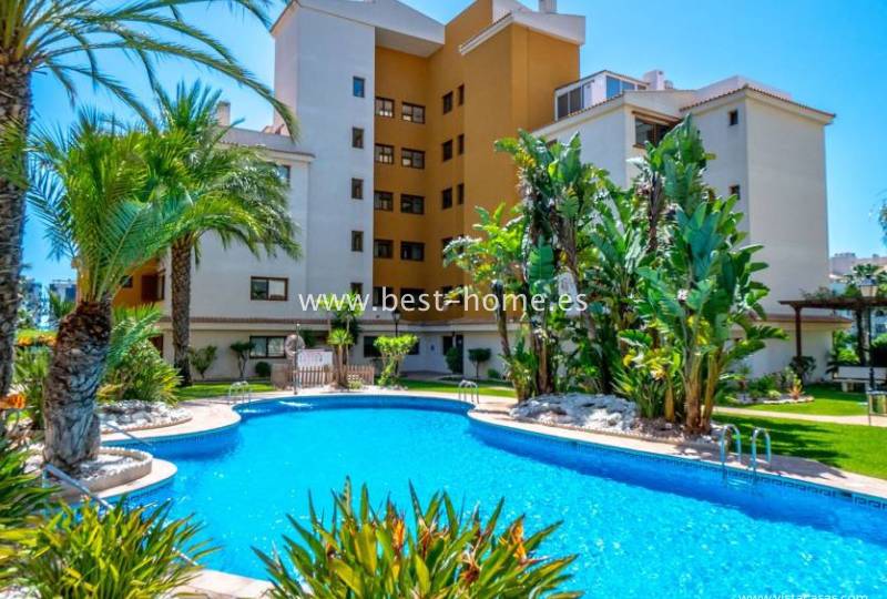 Apartament - Wtórny - Punta Prima - Punta Prima