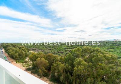 Apartment - Sale - Guardamar del Segura - BH91144492