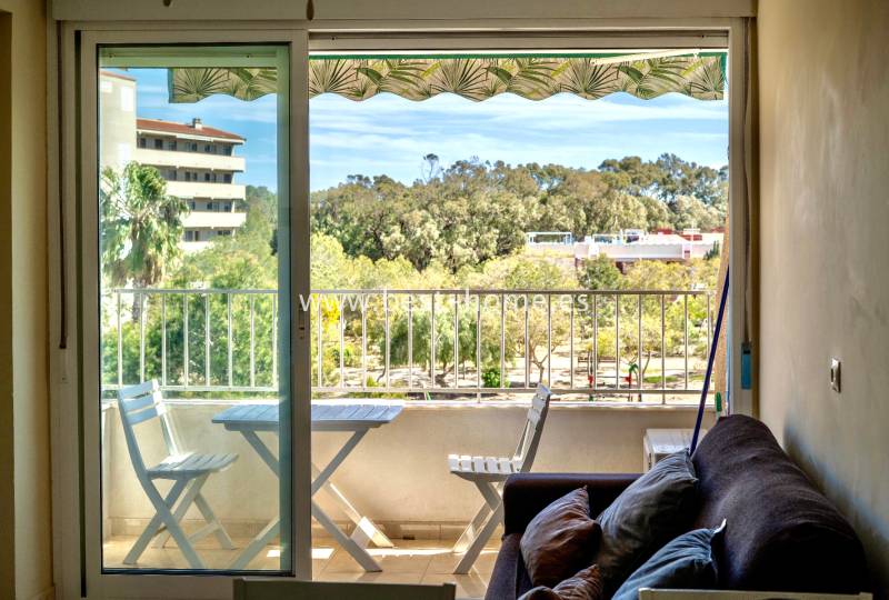 Apartment - Sale - Guardamar del Segura - Guardamar del Segura