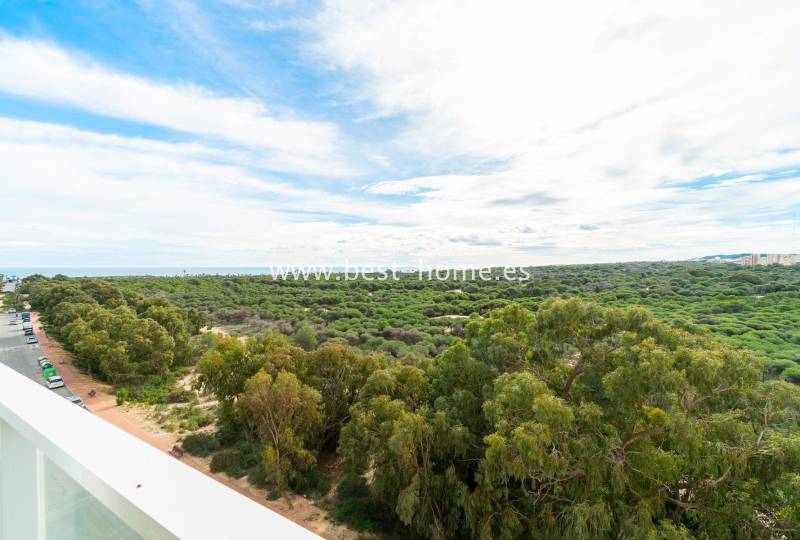 Apartment - Sale - Guardamar del Segura - Guardamar del Segura