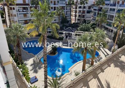 Apartment - Sale - La Mata - BHKVM41