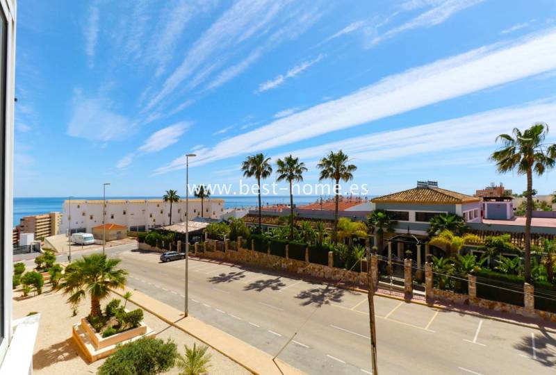 Apartment - Sale - La Mata - La Mata