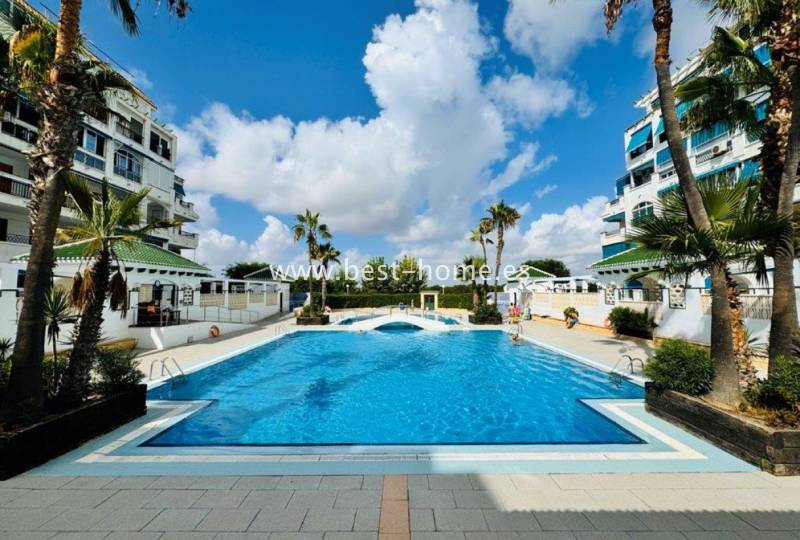 Apartment - Sale - La Mata - La Mata