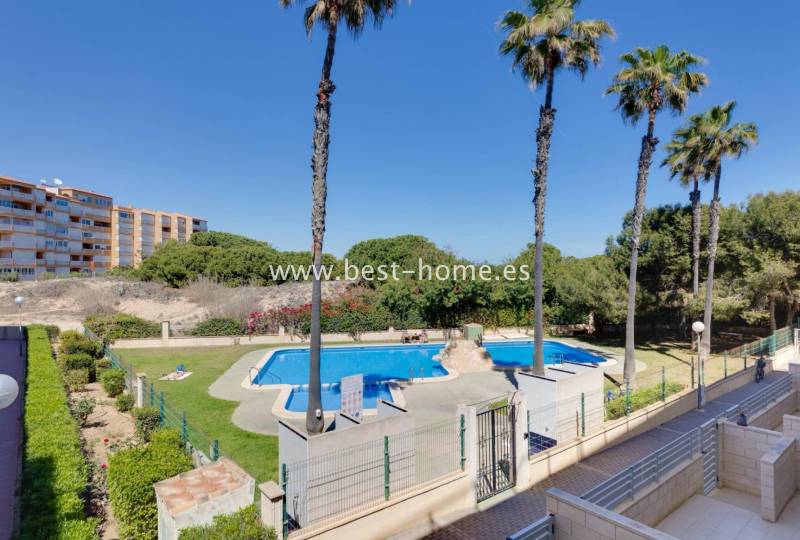 Apartment - Sale - La Mata - La Mata