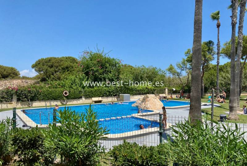 Apartment - Sale - La Mata - La Mata