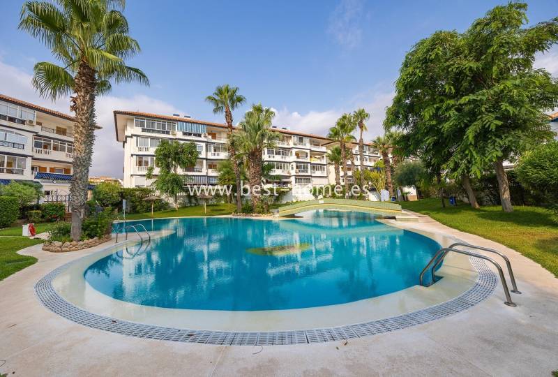 Apartment - Sale - La Mata - La Mata