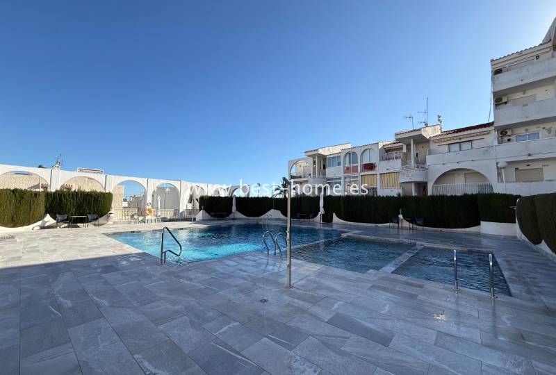 Apartment - Sale - La Mata - La Mata