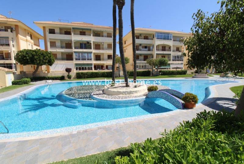Apartment - Sale - La Mata - La Mata