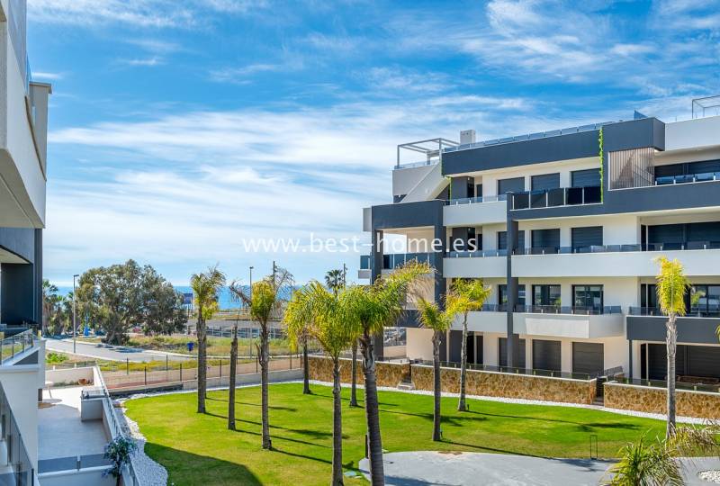 Apartment - Sale - Playa Flamenca - Playa Flamenca