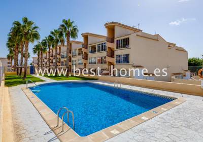 Apartment - Sale - Punta Prima - BH1422511