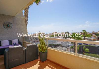 Apartment - Sale - Torrevieja - BHS1488