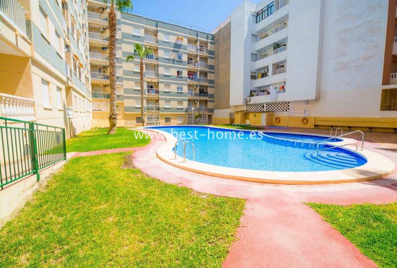 Apartment - Sale - Torrevieja - Torrevieja