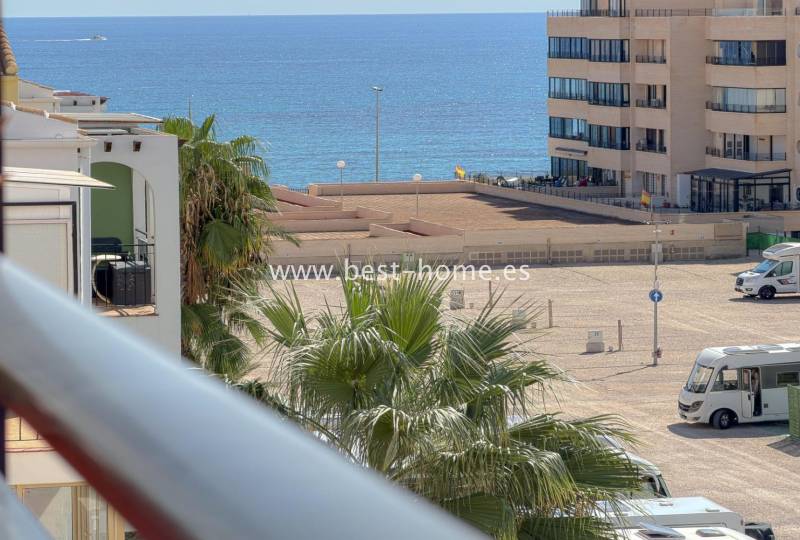 Apartment - Sale - Torrevieja - Torrevieja