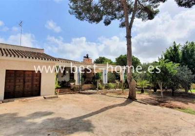 Dom / Willa - Wtórny - Pinar de Campoverde - BH16560A