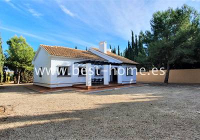 Działka - New Build - Fuente Álamo - BHAPVC3