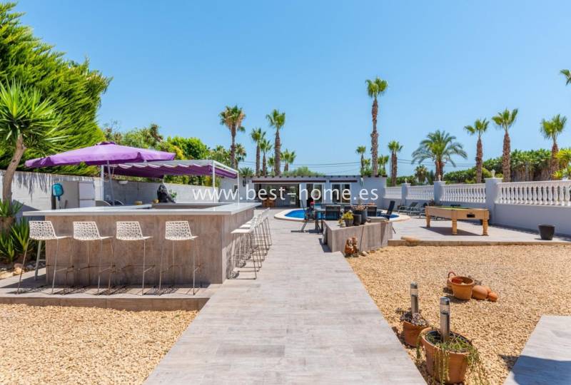 Finca - Sale - Catral - Catral