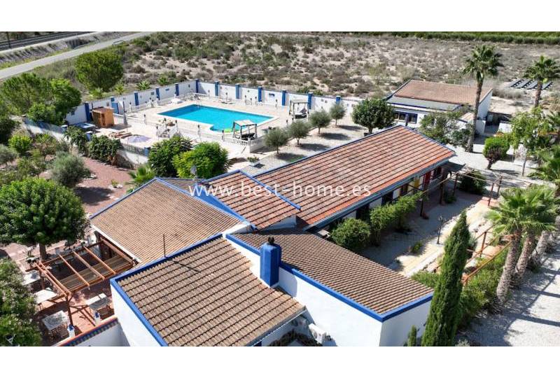 Finca - Sale - Crevillente  - Crevillente