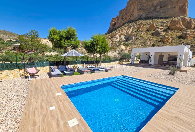 Finca - Sale - Crevillente  - Crevillente