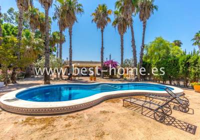 Finca - Sale - Daya Nueva - BHCBF04