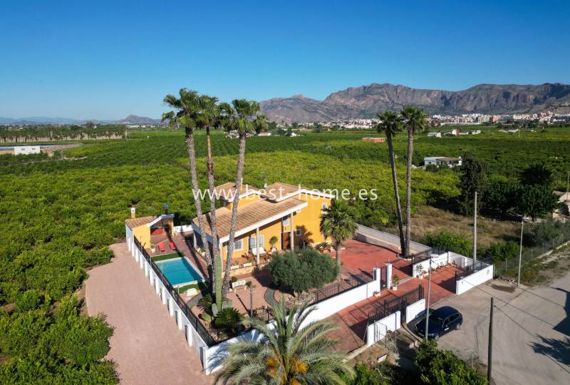 Finca - Sale - Orihuela - Orihuela