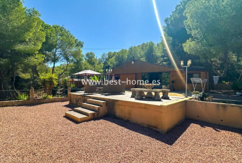 Finca - Sale - Torremendo - Torremendo