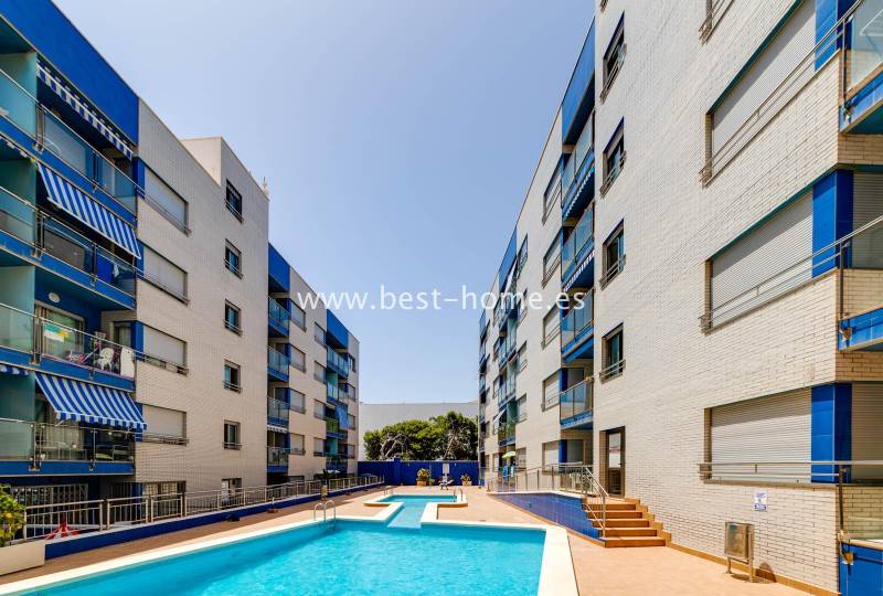 Kawalerka / Studio - Wtórny - Torrevieja - Torrevieja