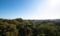 New Build - Apartment - Guardamar del Segura