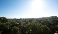 New Build - Apartment - Guardamar del Segura