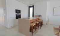 New Build - Villa - Aguas Nuevas