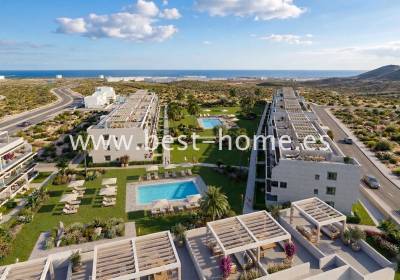 Penthouse - Pierwotny - Vera - BHSNPBP2