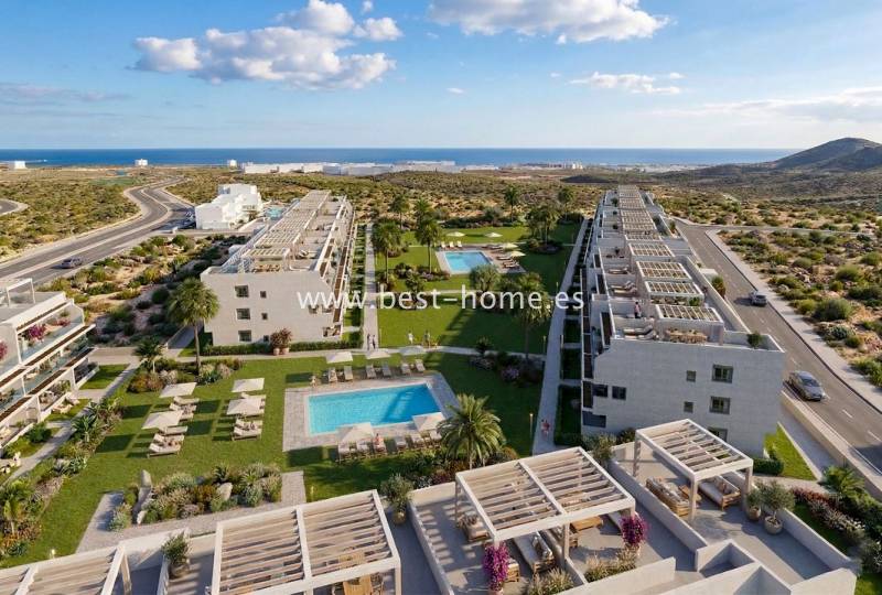 Penthouse - Pierwotny - Vera - Vera