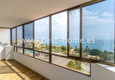 Penthouse - Sale - La Mata - BH96AT188
