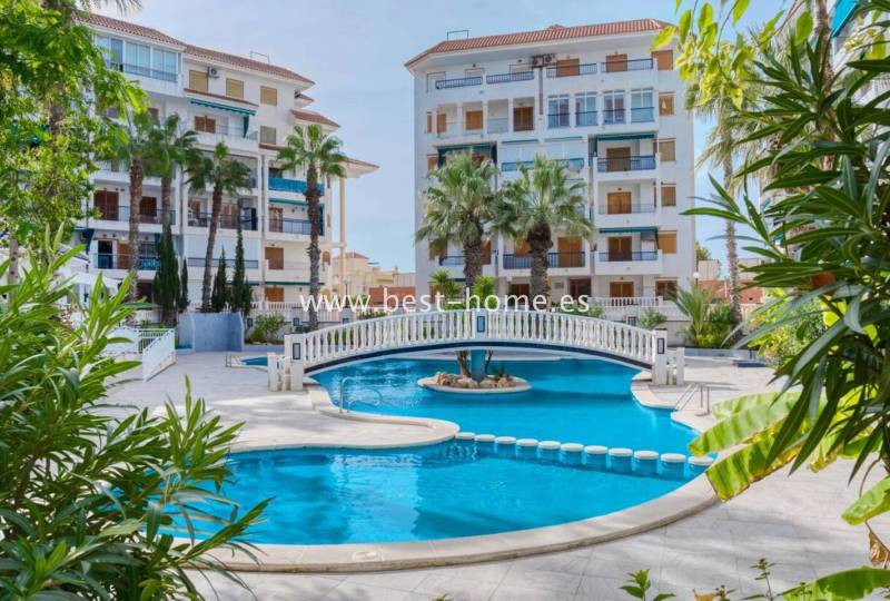 Penthouse - Sale - La Mata - La Mata