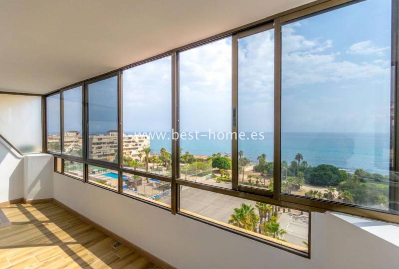 Penthouse - Sale - La Mata - La Mata