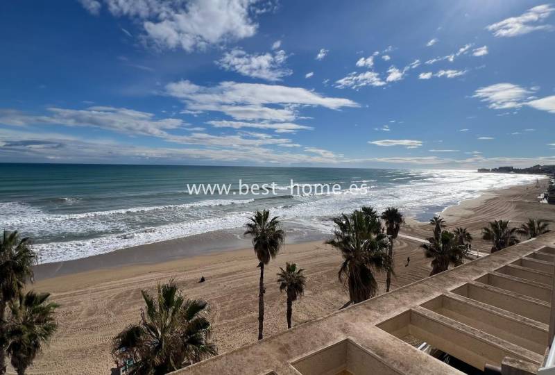 Penthouse - Sale - La Mata - La Mata