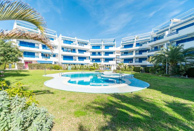 Penthouse - Sale - Playa Flamenca - Playa Flamenca