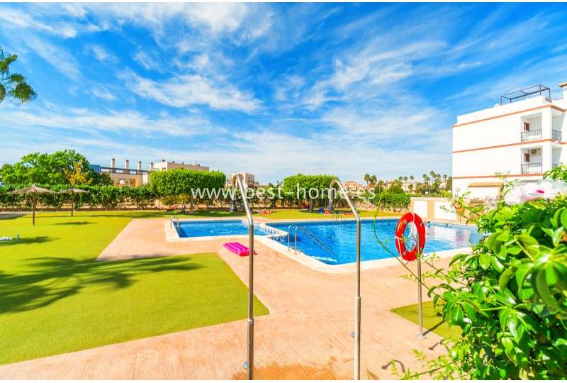 Penthouse - Sale - Punta Prima - Punta Prima