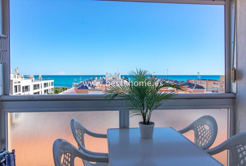 Penthouse - Wtórny - La Mata - La Mata