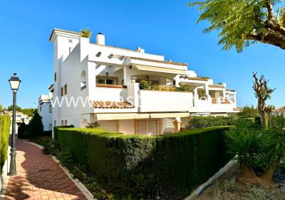 Penthouse - Wtórny - Los Dolses - BH120055